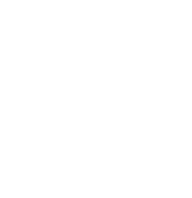 allrus-s-1994